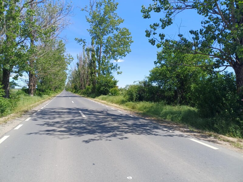 Gruiu, Silistea Snagovului