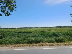 Gruiu, Silistea Snagovului